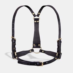 Fleet Ilya Black Leather Harness